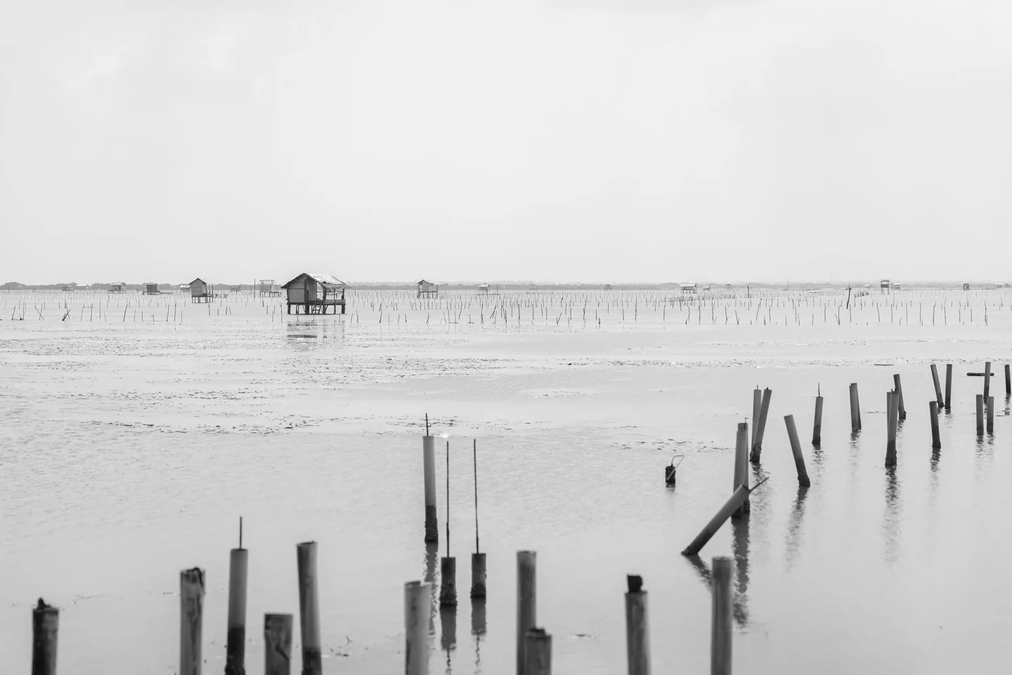 Coastal fishing landscape in Jaffna, Northern Sri Lanka