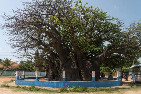 Mannar, with time to look around