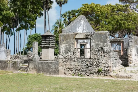 Stone ruins and palmyra trees on Delft Island, as identified on the owner website