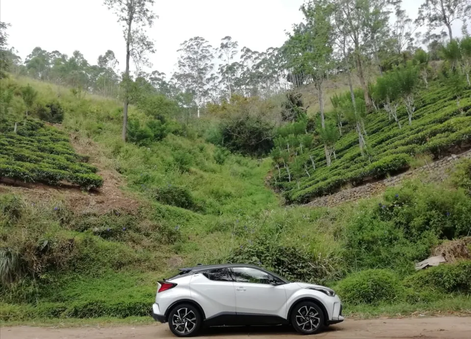 Toyota car beside a tea estate in Badulla, Sri Lanka; illustrative vehicle